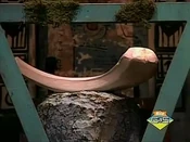 The Lost Whale Bone of Pytheas