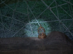 Golden Cricket Cage of Khan