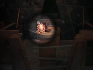 The Star of Sultan Saladin