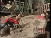 Anigif enhanced-28956-1396912104-20