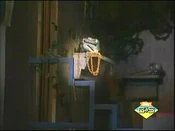 The Golden Chains of Zenobia