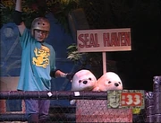 Seal Haven Temple Game
