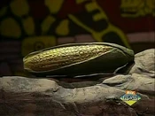 The Dried Ear of Corn of Sojourner Truth