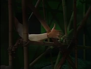 The Stolen Arm of Shiva