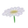 Daisy-0