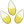 DaffodilSeed