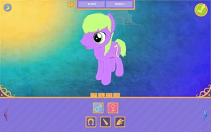 Selecting the pony's sex and race