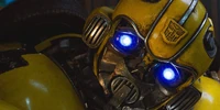 Bumblebee12.jpg (148 KB)