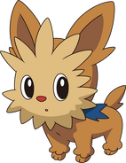 Lillipup