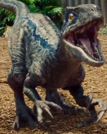 Jurassic World - Blue Raptor