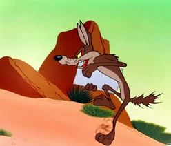 Wileehouseofdisenchantedcards