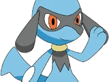 Riolu (Pokemon)