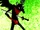 Jack Noir