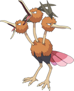 Dodrio