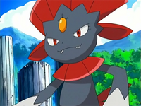 Weavile smile