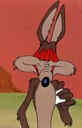 Wile e introduces himself.png (398 KB)