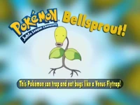 Who's that Pokemon? (Johto edition)