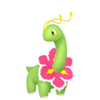 Male Meganium