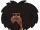 Beardo