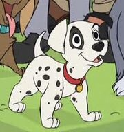 Patchdalmatian