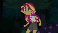 Sunset Shimmer finds Twilight in the forest EG4.png (164 KB)