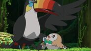 Toucannon and Rowlet