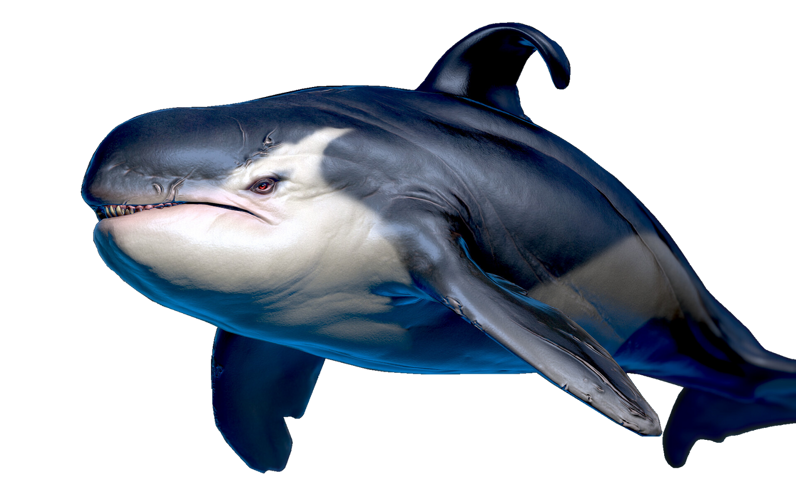 Mahana the Orca | Legends of the Multi Universe Wiki | Fandom