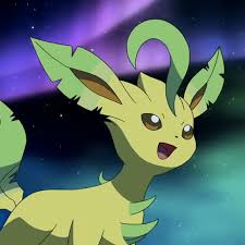 Leafeon💯🙏🏻, Wiki