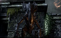 Xenomorph Praetorian's. They are the elite guard and bodyguards of the Xenomorph Queen. They cannot climb and use stealth like the xenomorphs, but they can use their larger super strength, durability, and much more potent acid to make up for it.