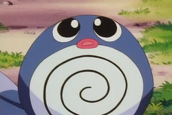 Poliwag, Pokémon Vortex Wiki