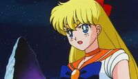 Sailor venus i must not quit