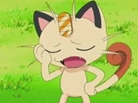 Meowth says Aw, rats!