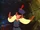 Justin (Secret of Nimh)