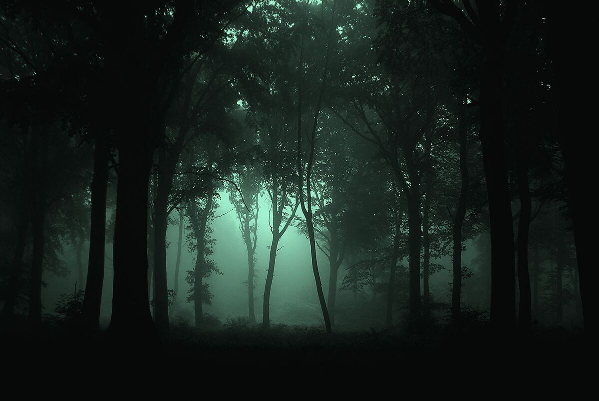 Download wallpaper 3840x2160 forest, fog, trees, gloomy, dark 4k uhd 16:9  hd background