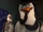 Skipper (The Penguins of Madagascar)