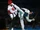 Taekwondo