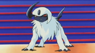 Absol M06