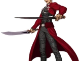 Archer/Future Shirou Emiya