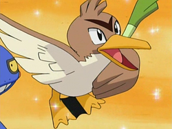 Wilkinson's Farfetch'd, Pokémon Wiki