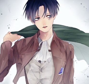 Levi.full