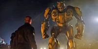 Bumblebee-Burns-1.jpg (42 KB) Bumblebee is not pleased with people who are seemingly a threat to Charlie!