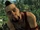 Vaas Montenegro