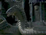 Imoogi/Celestial Dragon