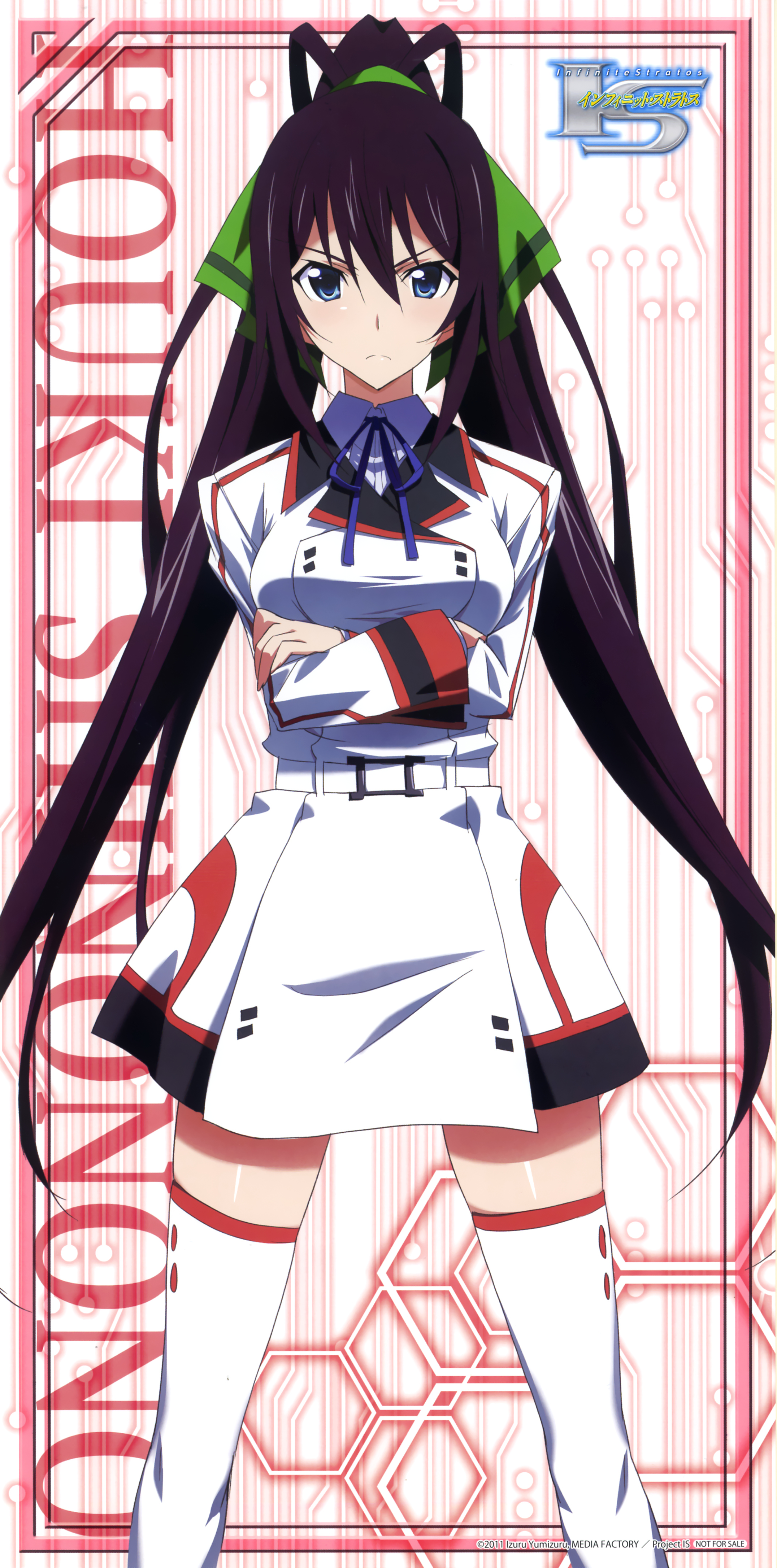 IS (Infinite Stratos) Houki Shinonono