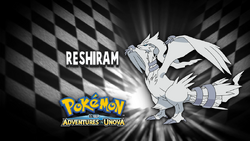 Reshiram and Zekrom Short: Cookies MiracleTourDeForce