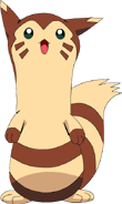 Furret