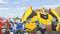 188 bumblebee.gif (478 KB)