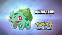 Colors Live - The Legend of the Shiny Bulbasaur by Minteen