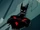 Terry McGinnis