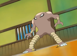 Hitmonlee, Legends of the Multi Universe Wiki